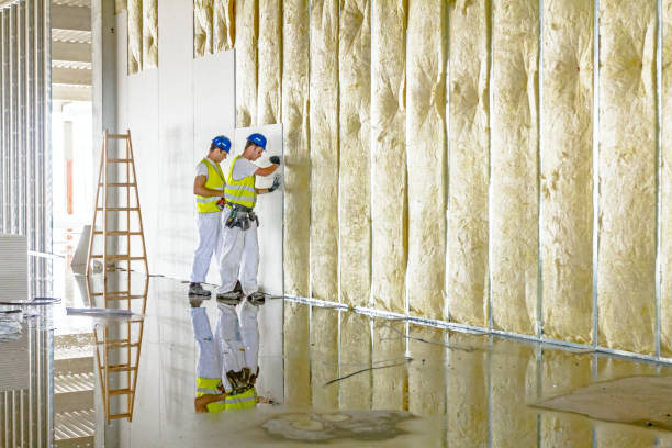 Best Commercial Insulation in East Los Angeles, CA